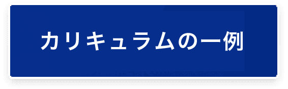 カリキュラムの一例