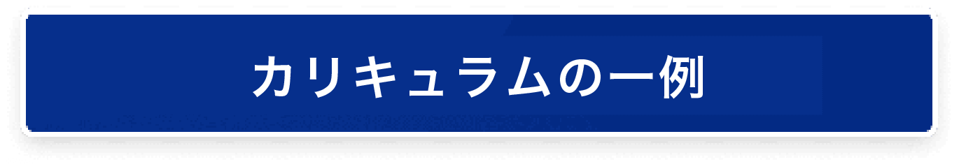 カリキュラムの一例